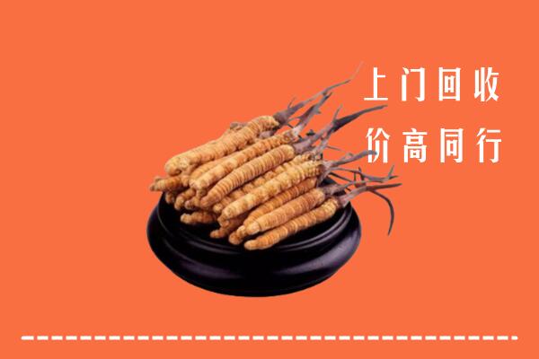 高价求购：九江市回收散虫草